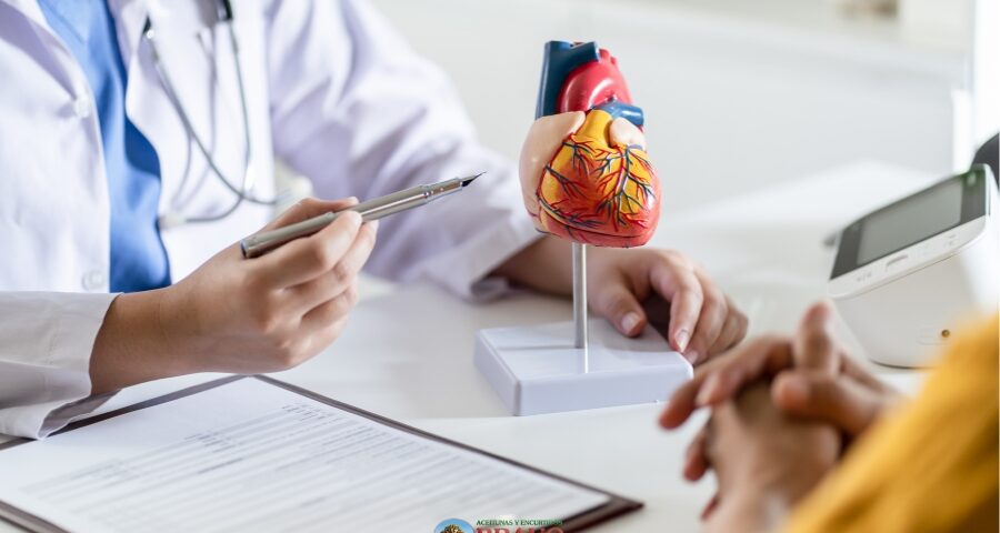 Los beneficios de las aceitunas para el corazón: médico consulta